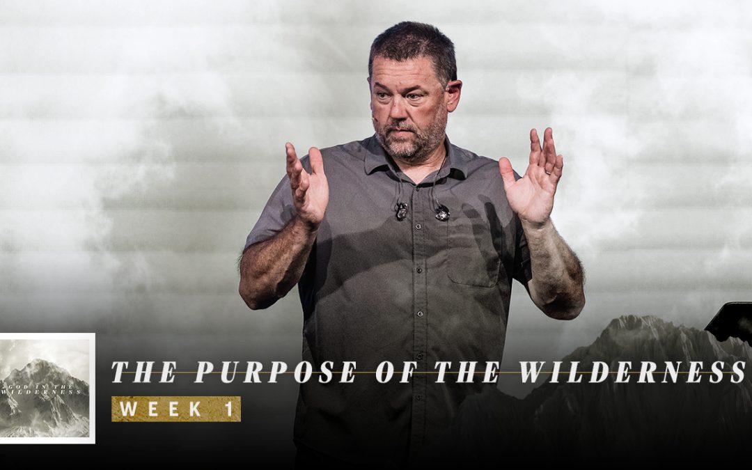 The Purpose of the Wilderness