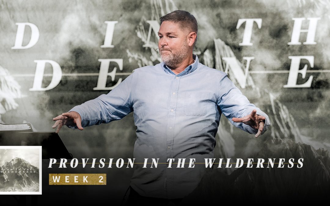 Provision in the Wilderness